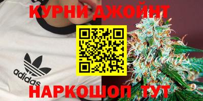 стафф Пенза
