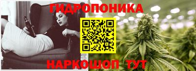 стафф Пенза